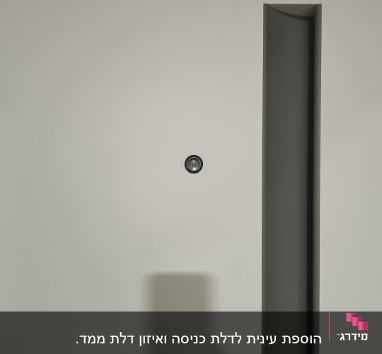 דלת כניסה מעוצבת בקו מודרני עם עינית הצצה וידית שקועה